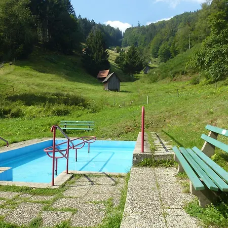 Pusteblume Forbach