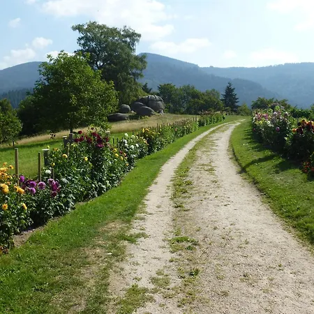 Pusteblume Appartamento Forbach